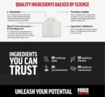 Force Factor L-Glutamine Powder – Muscle Recovery & Immune Support Supplement - Image 2