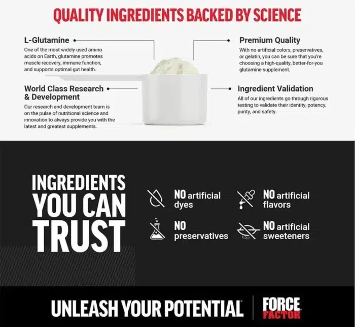 Force Factor L-Glutamine Powder – Muscle Recovery & Immune Support Supplement - Image 2